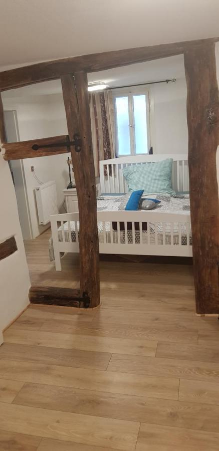 Zauberhafte Wohnung In Der Naehe Von Heidelberg, Top Lage Hirschhorn Exteriör bild