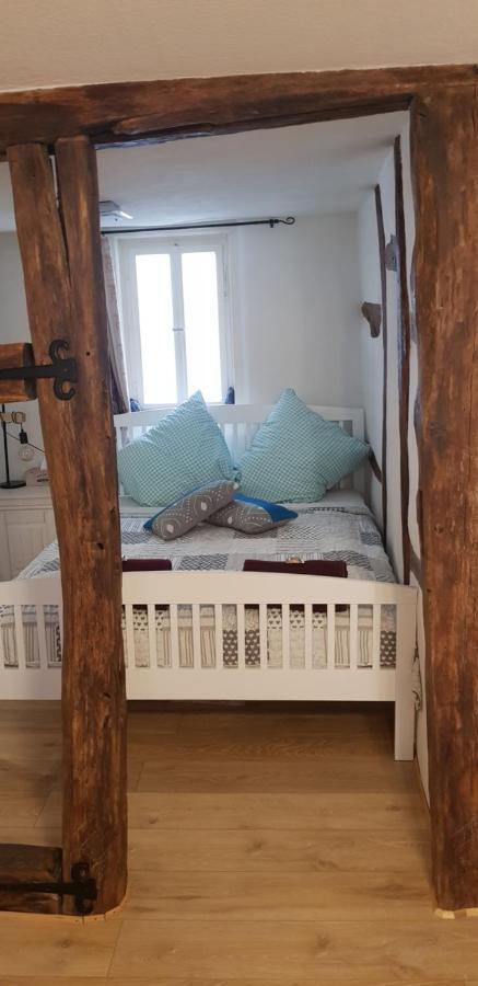 Zauberhafte Wohnung In Der Naehe Von Heidelberg, Top Lage Hirschhorn Exteriör bild
