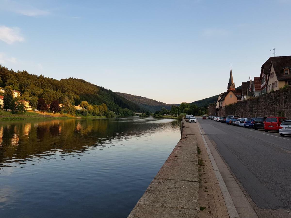 Zauberhafte Wohnung In Der Naehe Von Heidelberg, Top Lage Hirschhorn Exteriör bild