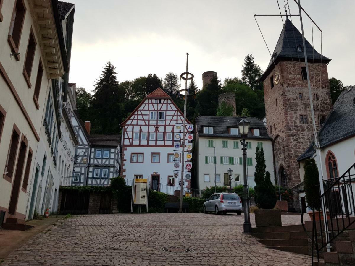 Zauberhafte Wohnung In Der Naehe Von Heidelberg, Top Lage Hirschhorn Exteriör bild
