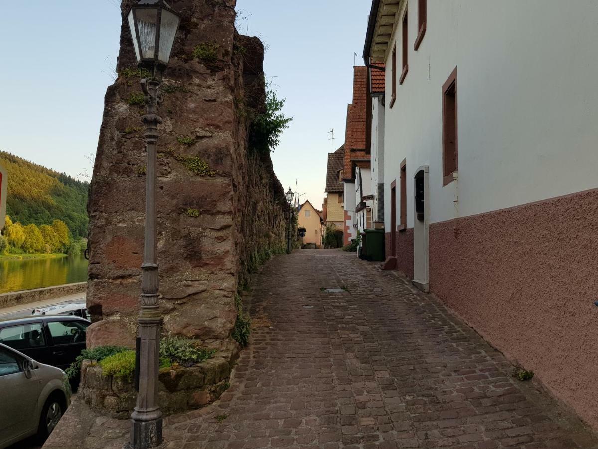 Zauberhafte Wohnung In Der Naehe Von Heidelberg, Top Lage Hirschhorn Exteriör bild