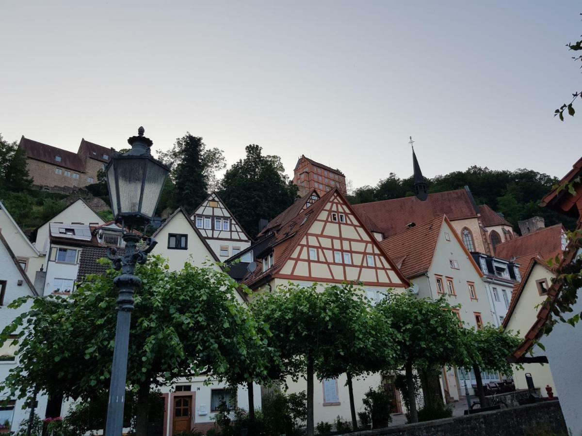 Zauberhafte Wohnung In Der Naehe Von Heidelberg, Top Lage Hirschhorn Exteriör bild