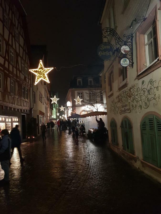 Zauberhafte Wohnung In Der Naehe Von Heidelberg, Top Lage Hirschhorn Exteriör bild