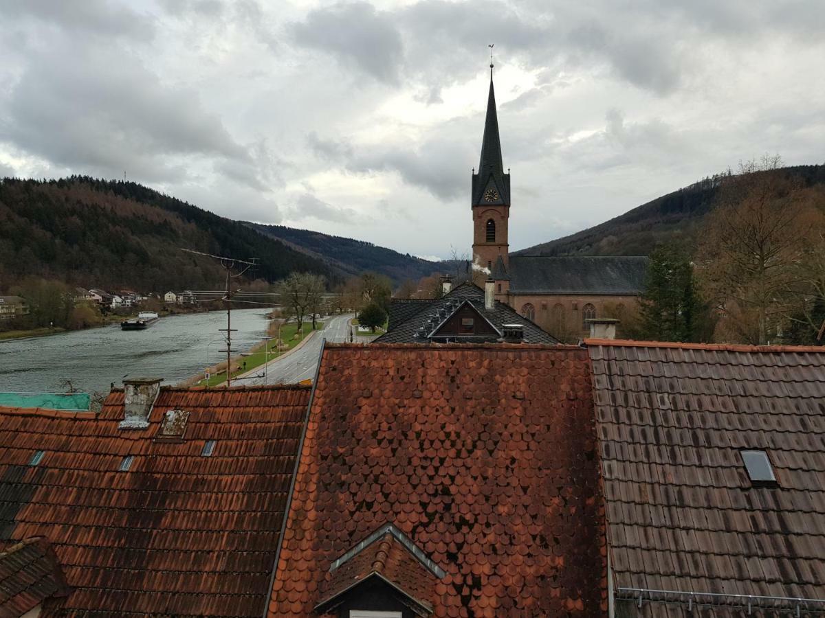 Zauberhafte Wohnung In Der Naehe Von Heidelberg, Top Lage Hirschhorn Exteriör bild