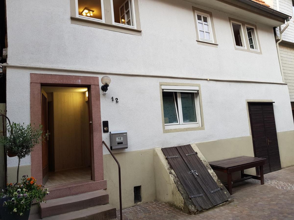 Zauberhafte Wohnung In Der Naehe Von Heidelberg, Top Lage Hirschhorn Exteriör bild