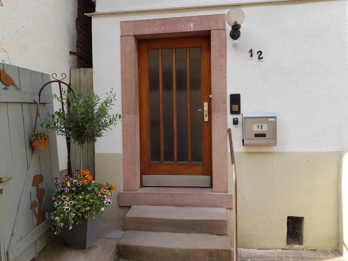 Zauberhafte Wohnung In Der Naehe Von Heidelberg, Top Lage Hirschhorn Exteriör bild