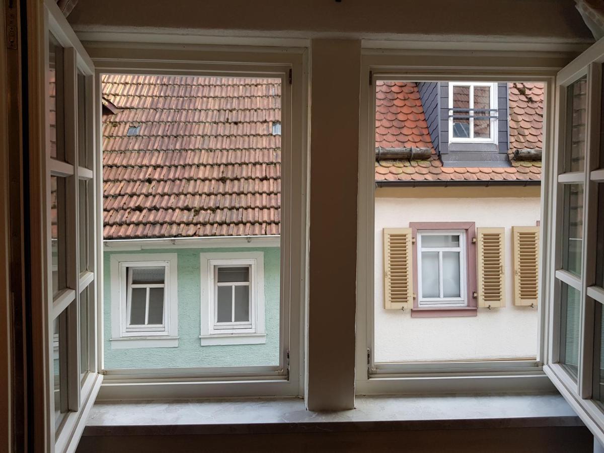 Zauberhafte Wohnung In Der Naehe Von Heidelberg, Top Lage Hirschhorn Exteriör bild